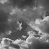 Fall Sky B&W