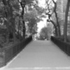 Brooklyn Walk