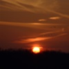 Fly into Night