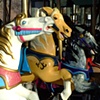 Horse Race