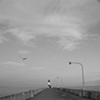 Duluth Light