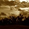 Sepia Sunset