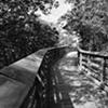 Boardwalk B&W