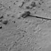 Tracks to Dinner