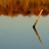 Burning Reflection