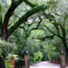 Gates of Leisure