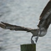 Liftoff
