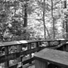 Holliday Park