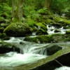 Southern Flow