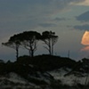 Sunset in the Dunes