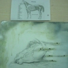 Game project
