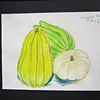 Watercolor