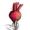 Fruit, Vegetables and Plants