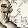 Walrus with child