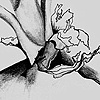 Onion
