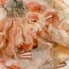 Medusas I