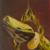 paintings