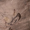 Pornoramas I detail