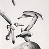 Vacio 2