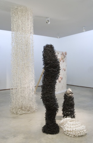Laser cut, laser cut building, Cranbrook Academy of Art, Jaya Miller+artist, Jaya Miller art. Fiber art