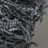 Untitled (zebra mouse)