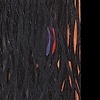 Grass Decoupage 115