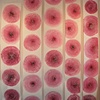 Trance wall