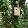 Nesting Boxes