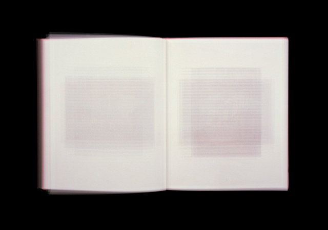 Roni Horn-Making Being Here Enough