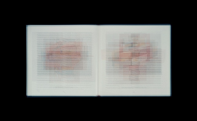 Donald Judd-Colorist