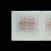 Donald Judd-Colorist