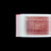 They Called Her Styrene-Ed Ruscha