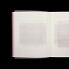 Roni Horn-Making Being Here Enough