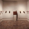 Gallery Installation