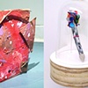 Past Exhibitions