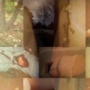 Her Story