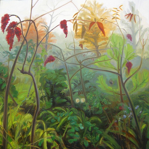 Sumacs in Fog