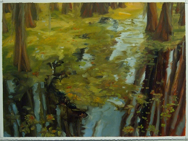 study for Giant Salvinia, Caddo Lake #4