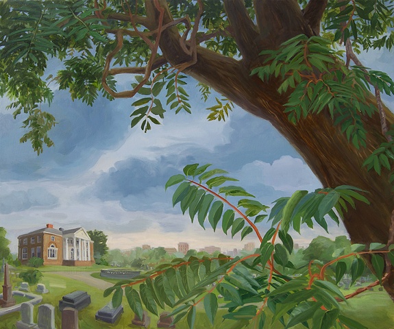 Tree of Heaven at William Hamilton�s Mansion