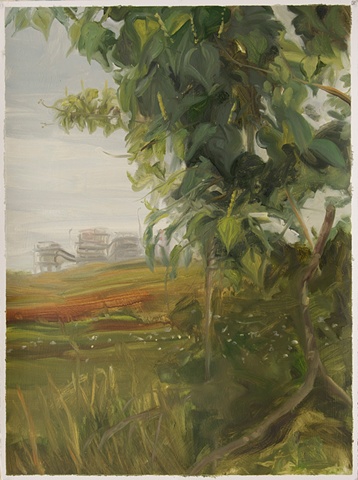 Study for Tallow Tree, Texas City