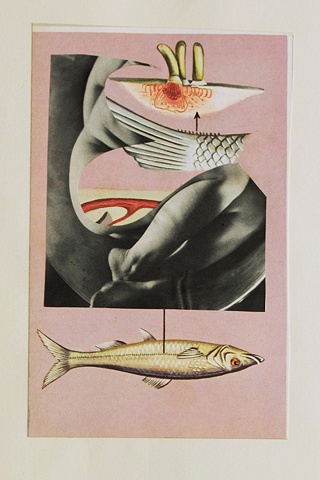 Swimming Upstream