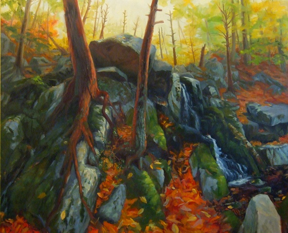 Dead Hemlocks on Yankee Horse Ridge