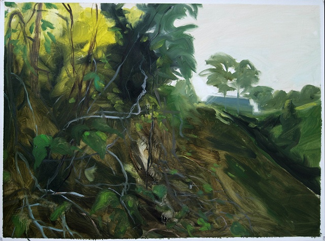 Study for Kudzu and Princess Tree