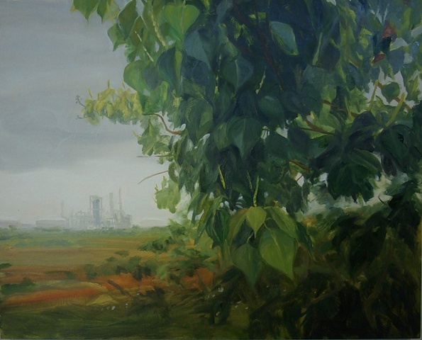 Tallow Tree, Texas City