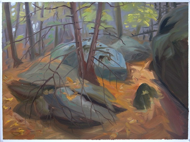 Rocks and Dead Hemlock
