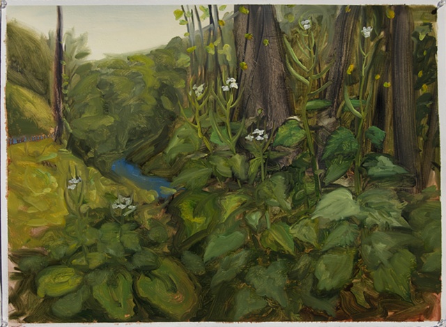 Study for Garlic Mustard