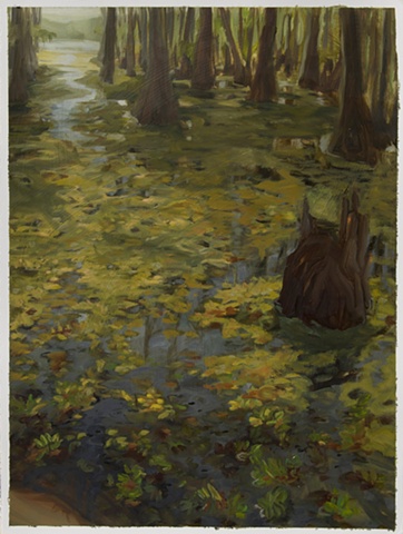 Study for Giant Salvinia, Caddo Lake #2 