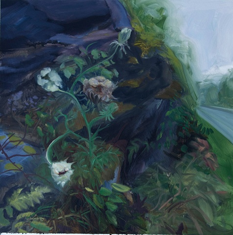 Study for Queen Anne's Lace, Shenandoah