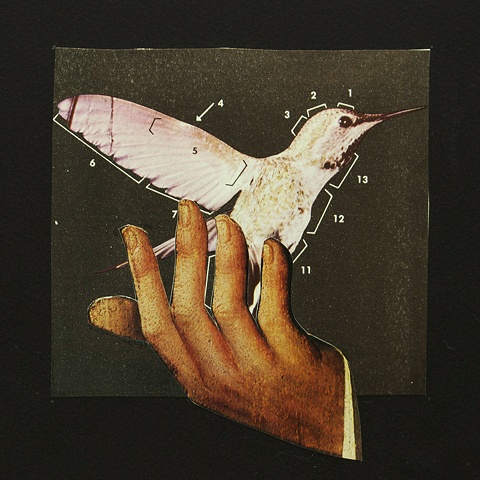 Bird in Hand