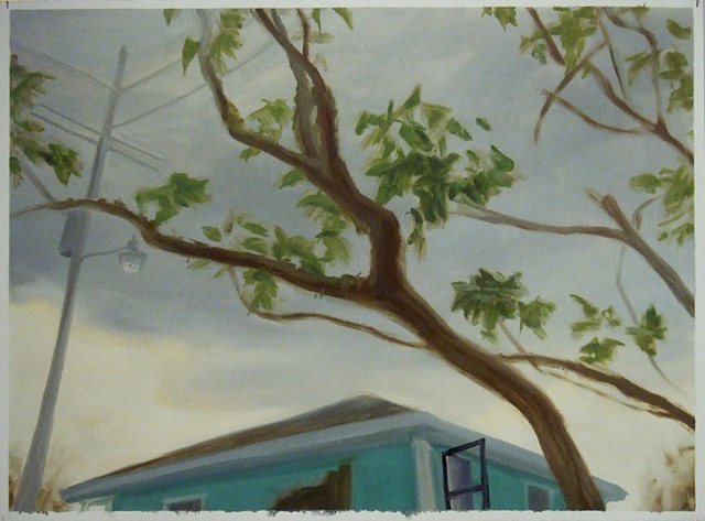 Tallow Tree, Bolivar